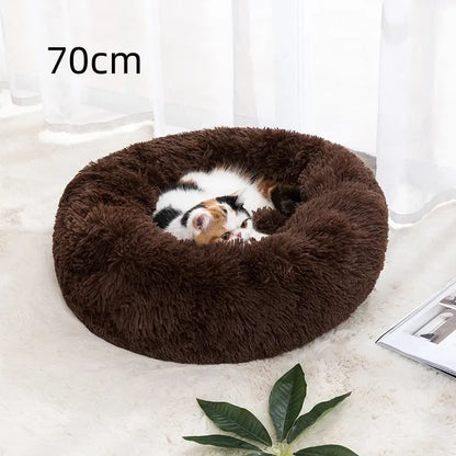 Winter Warm Pet Bed – Cozy & Soft for Cats and Dogs - zarpaspetshop.com