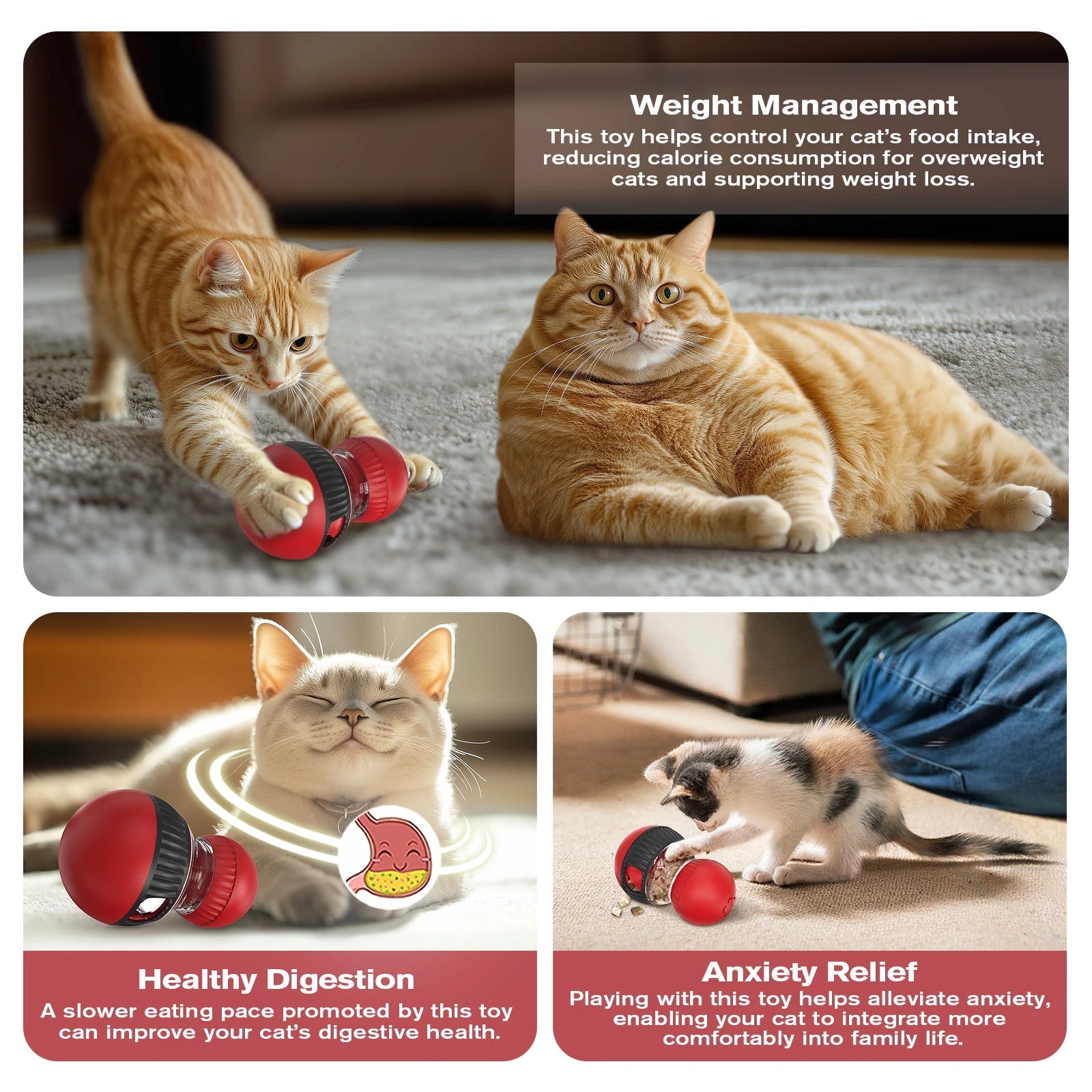 Interactive Cat Dispenser Puzzle Toy - zarpaspetshop.com
