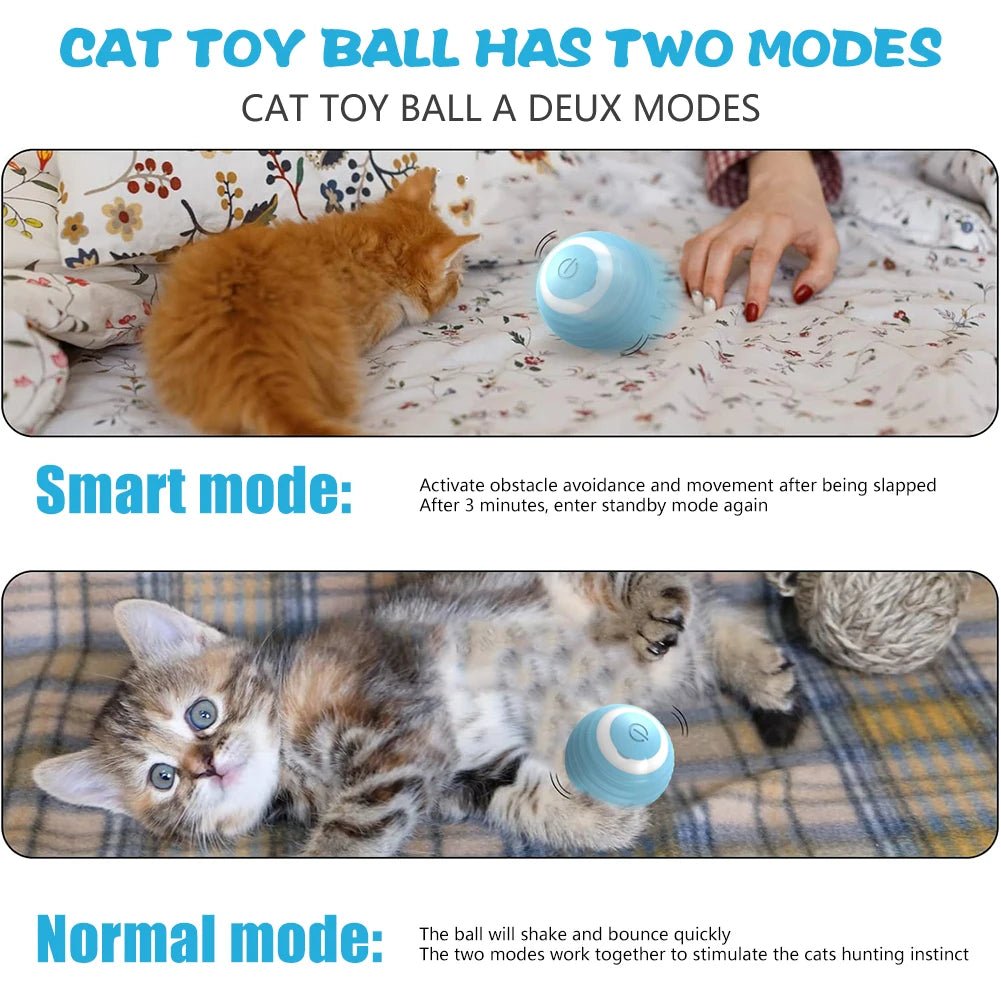 Smart USB Rechargeable Ball Cat Toy – Auto Obstacle Avoidance - zarpaspetshop.com