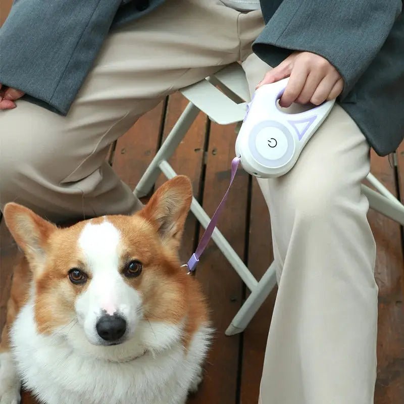 Automatic Retractable Dog Leash – 3M & 5M - zarpaspetshop.com