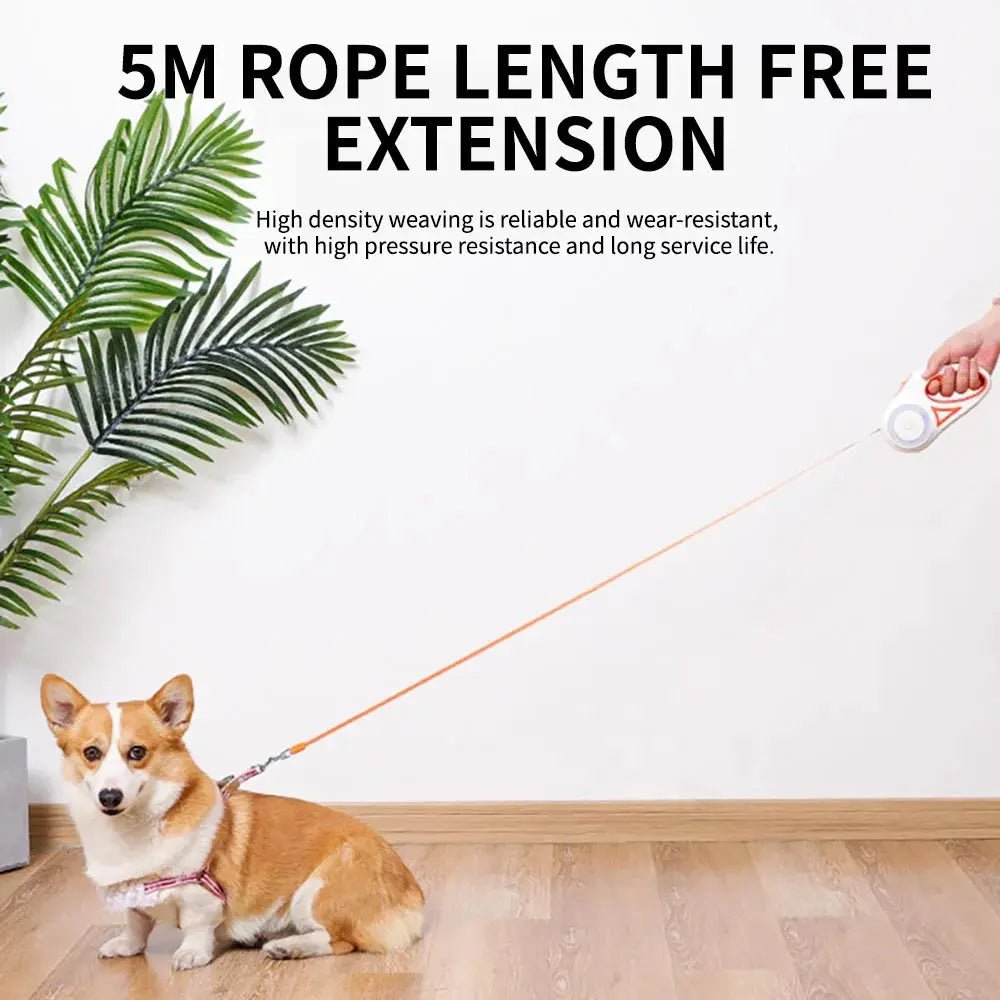 Automatic Retractable Dog Leash – 3M & 5M - zarpaspetshop.com