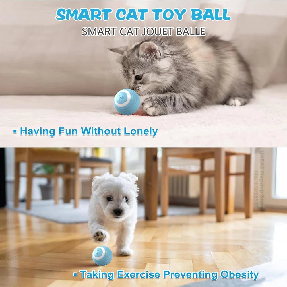 Smart USB Rechargeable Ball Cat Toy – Auto Obstacle Avoidance - zarpaspetshop.com